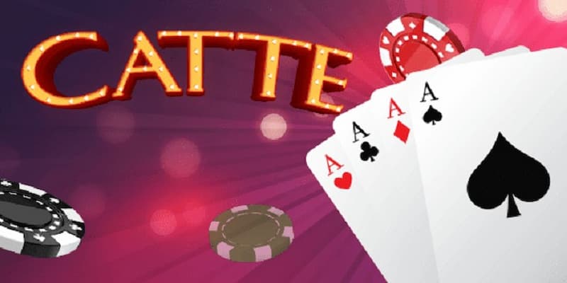 Catte Catte về tìm hiểu tổng quan